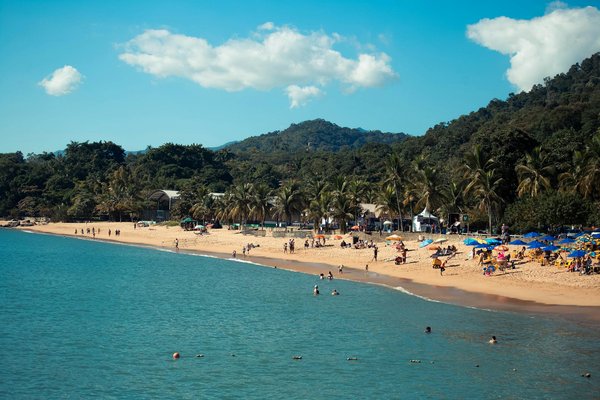 Un voyage inoubliable au cœur des antilles créoles